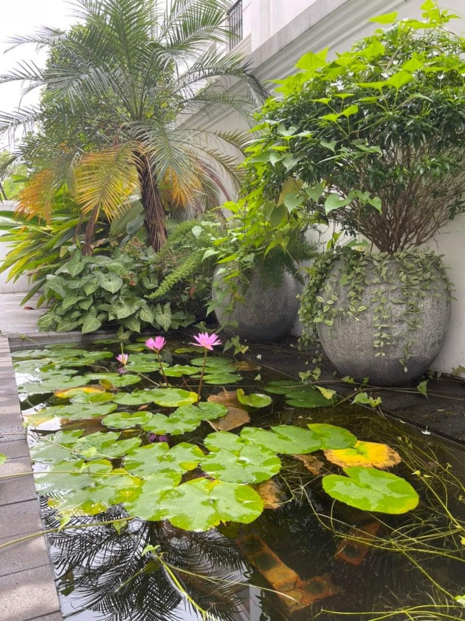 cho-thue-biet-thu-song-lap-hai-au-vinhomes-ocean-park-1-05