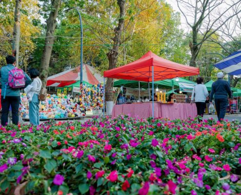 hoi-cho-tet-quy-mao-ecopark-2023-22