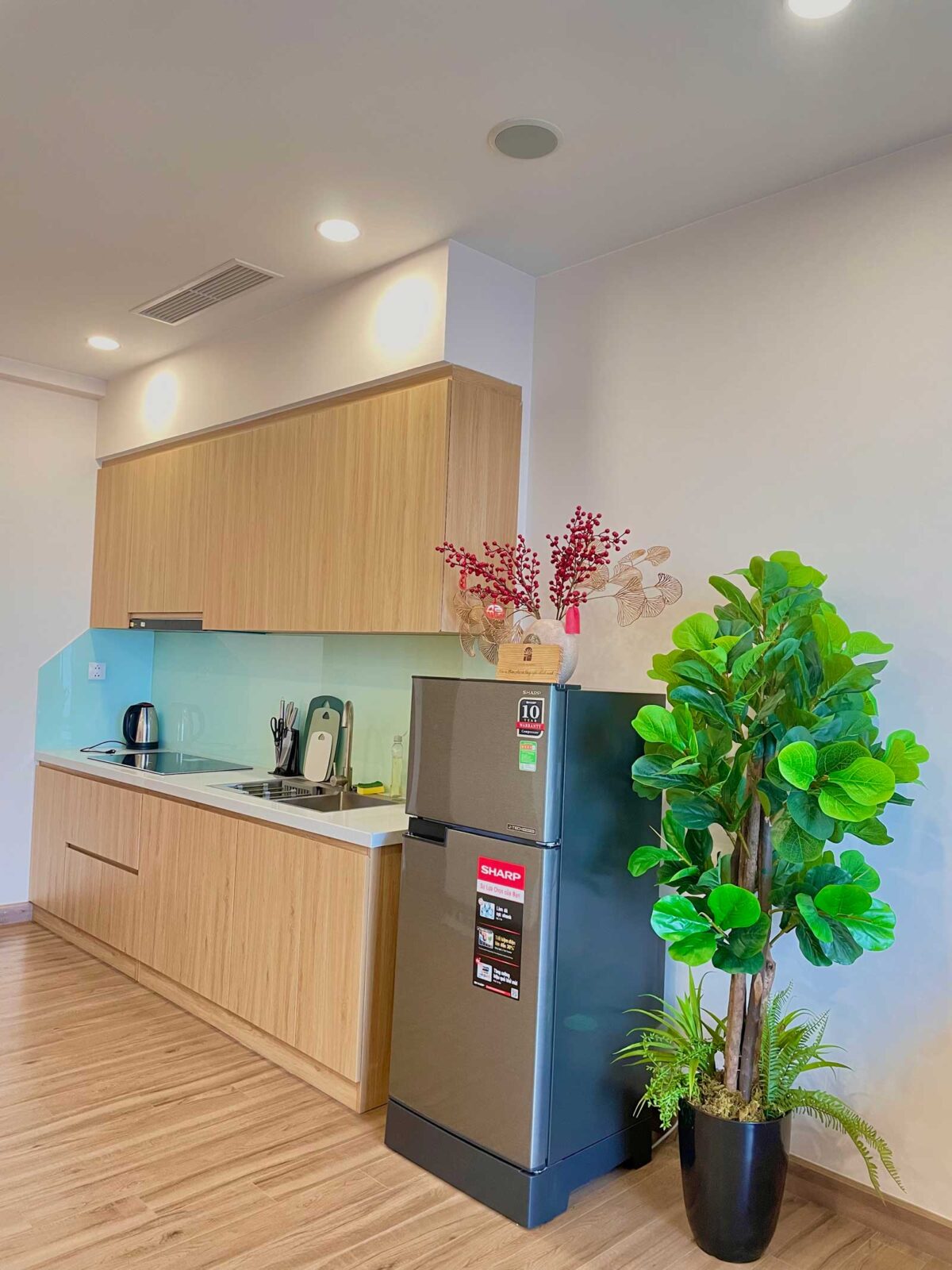 Cho thuê căn hộ Homestay 2 phòng ngủ SP 2802 Sky Oasis Ecopark - 10