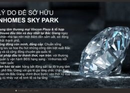9 lý do sở hữu Vinhomes Sky Park - 02