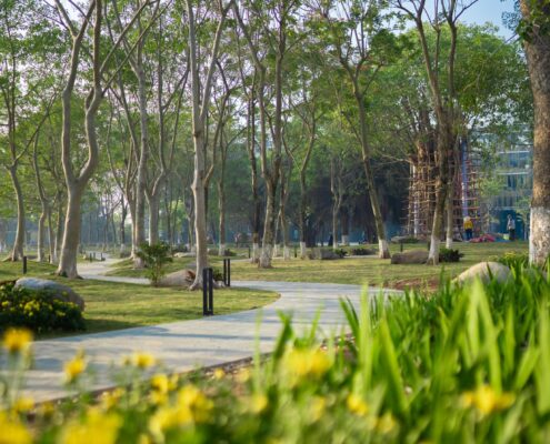 cung-duong-vinh-dao-ecopark-dat-giai-vang-quy-hoach-quoc-gia-02