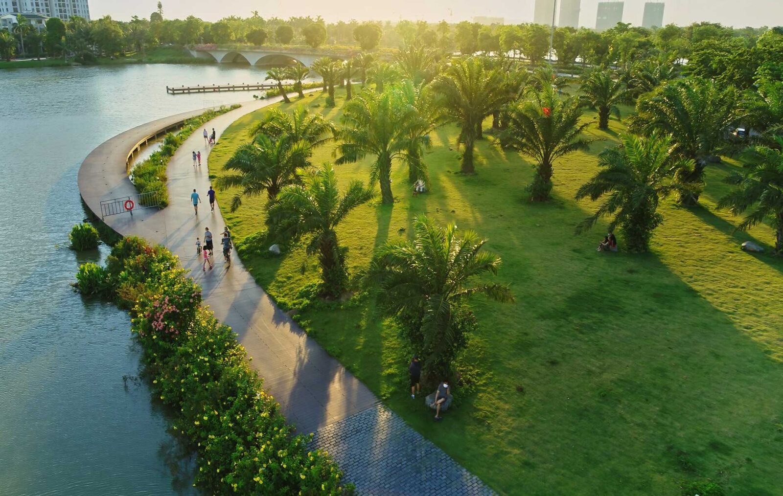 anh-dep-kdt-alluvia-city-04